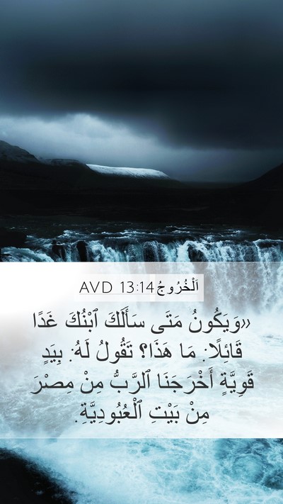 اَلْخُرُوجُ 13:14 AVD Bible Verse Image