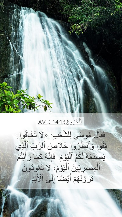 اَلْخُرُوجُ 14:13 AVD Bible Verse Image