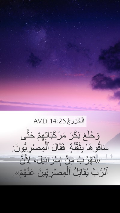 اَلْخُرُوجُ 14:25 AVD Bible Verse Image