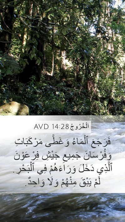 اَلْخُرُوجُ 14:28 AVD Bible Verse Image