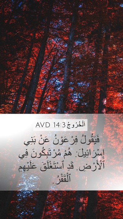 اَلْخُرُوجُ 14:3 AVD Bible Verse Image