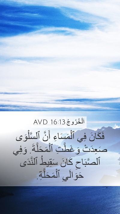 اَلْخُرُوجُ 16:13 AVD Bible Verse Image
