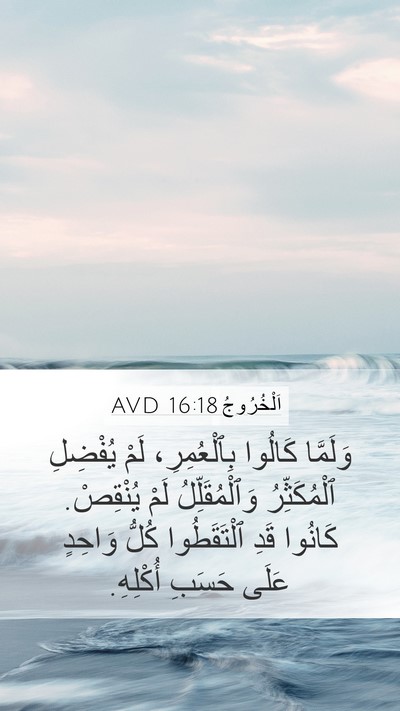 اَلْخُرُوجُ 16:18 AVD Bible Verse Image