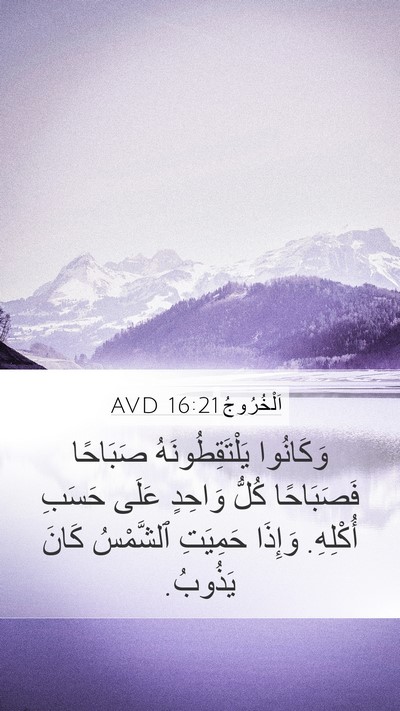اَلْخُرُوجُ 16:21 AVD Mobile Phone Wallpaper - وَكَانُوا يَلْتَقِطُونَهُ - Mobile Bible Verse Wallpaper