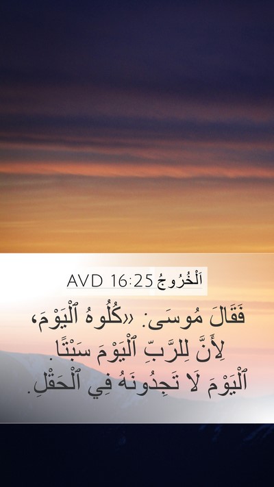 اَلْخُرُوجُ 16:25 AVD Mobile Phone Wallpaper - فَقَالَ مُوسَى: «كُلُوهُ - Mobile Bible Verse Wallpaper