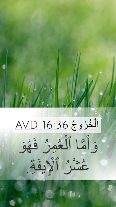 اَلْخُرُوجُ 16:36 AVD Bible Verse Image