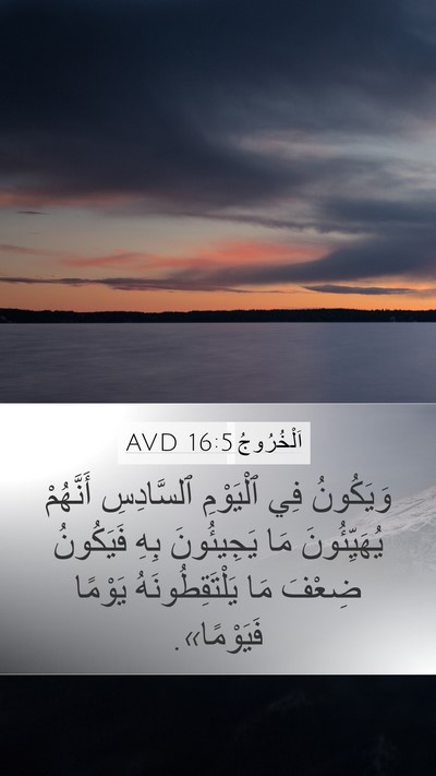 اَلْخُرُوجُ 16:5 AVD Bible Verse Image