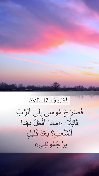اَلْخُرُوجُ 17:4 AVD Bible Verse Image