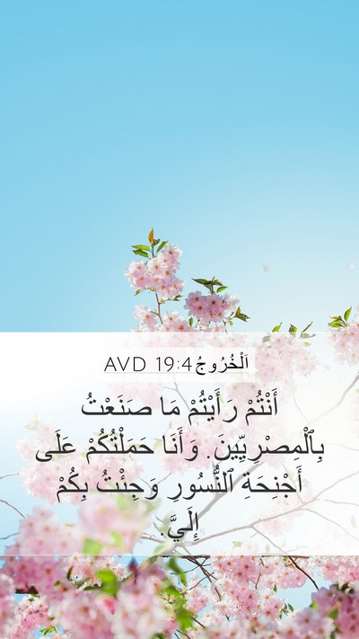 اَلْخُرُوجُ 19:4 AVD Bible Verse Image