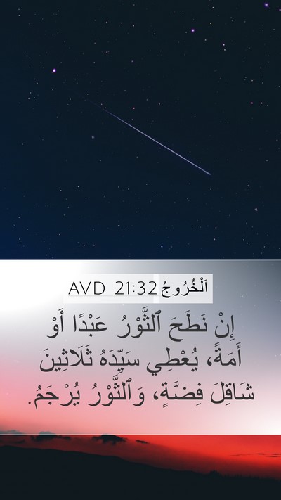 اَلْخُرُوجُ 21:32 AVD Bible Verse Image
