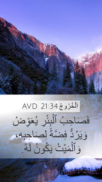 اَلْخُرُوجُ 21:34 AVD Bible Verse Image
