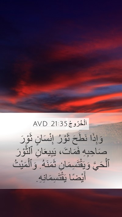 اَلْخُرُوجُ 21:35 AVD Mobile Phone Wallpaper - وَإِذَا نَطَحَ ثَوْرُ - Mobile Bible Verse Wallpaper