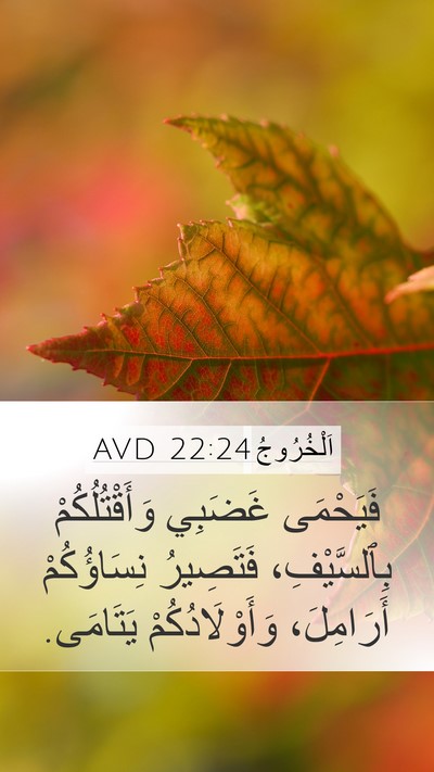 اَلْخُرُوجُ 22:24 AVD Bible Verse Image