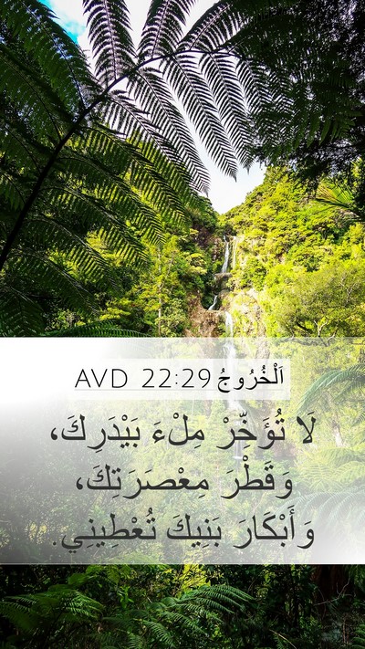 اَلْخُرُوجُ 22:29 AVD Bible Verse Image