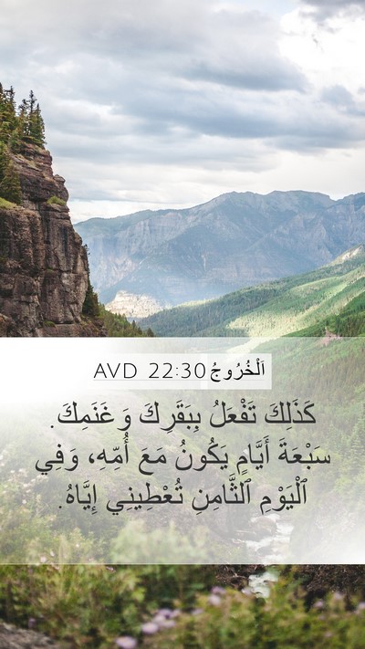 اَلْخُرُوجُ 22:30 AVD Bible Verse Image