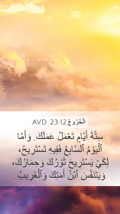 اَلْخُرُوجُ 23:12 AVD Bible Verse Image