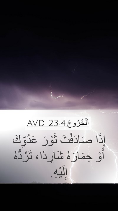 اَلْخُرُوجُ 23:4 AVD Bible Verse Image