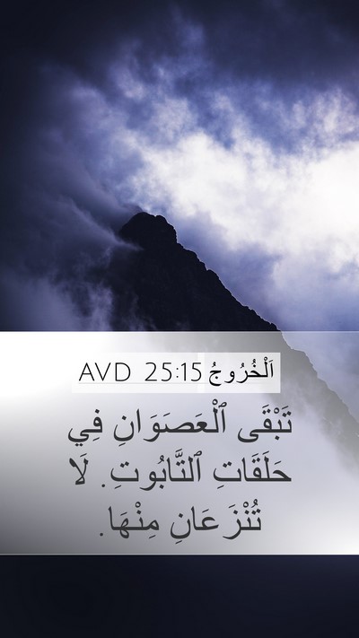 اَلْخُرُوجُ 25:15 AVD Bible Verse Image