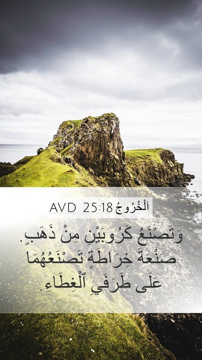 اَلْخُرُوجُ 25:18 AVD Bible Verse Image