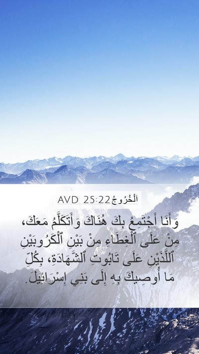 اَلْخُرُوجُ 25:22 AVD Bible Verse Image