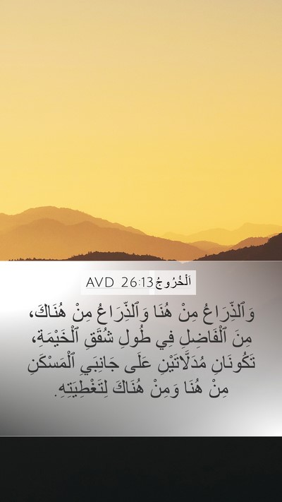 اَلْخُرُوجُ 26:13 AVD Bible Verse Image