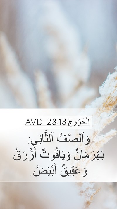 اَلْخُرُوجُ 28:18 AVD Bible Verse Image