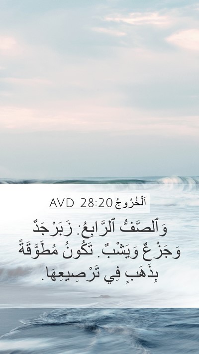 اَلْخُرُوجُ 28:20 AVD Bible Verse Image