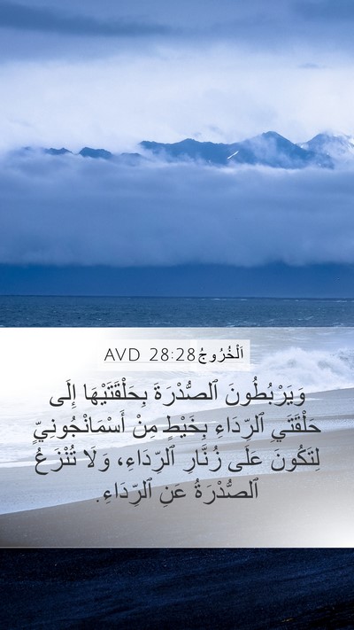 اَلْخُرُوجُ 28:28 AVD Bible Verse Image