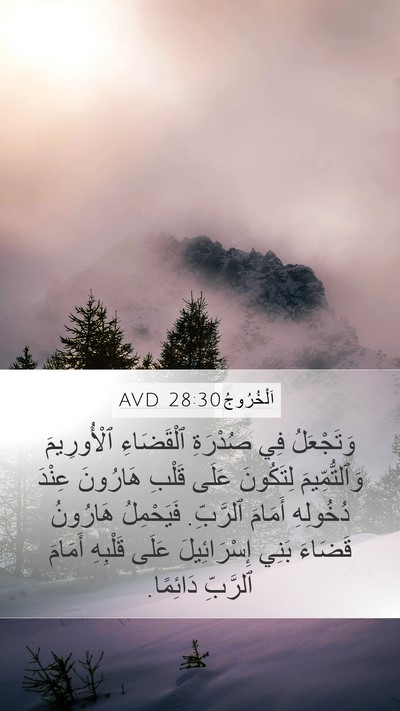 اَلْخُرُوجُ 28:30 AVD Bible Verse Image