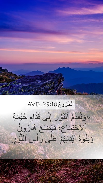 اَلْخُرُوجُ 29:10 AVD Bible Verse Image