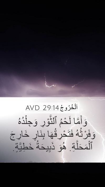 اَلْخُرُوجُ 29:14 AVD Bible Verse Image
