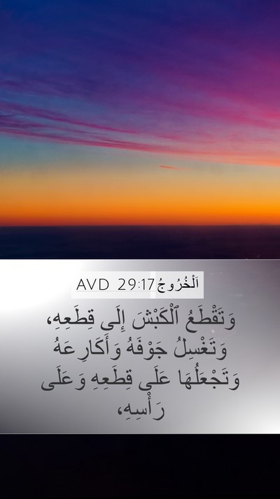 اَلْخُرُوجُ 29:17 AVD Mobile Phone Wallpaper - وَتَقْطَعُ ٱلْكَبْشَ - Mobile Bible Verse Wallpaper