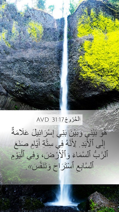 اَلْخُرُوجُ 31:17 AVD Bible Verse Image
