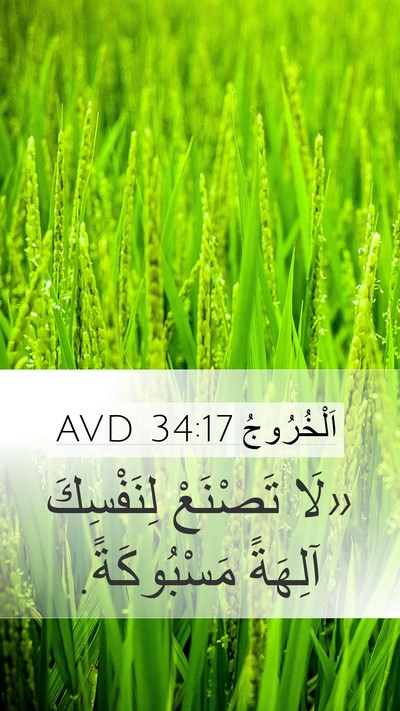 اَلْخُرُوجُ 34:17 AVD Bible Verse Image