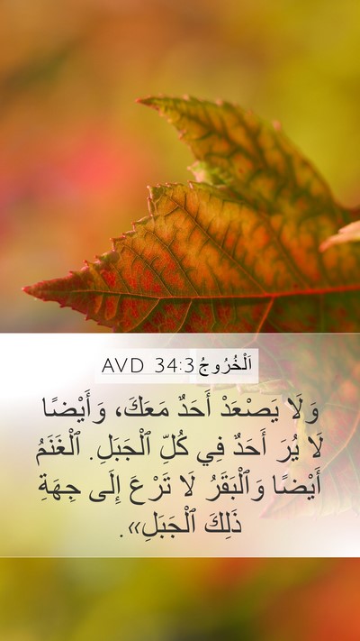 اَلْخُرُوجُ 34:3 AVD Mobile Phone Wallpaper - وَلَا يَصْعَدْ أَحَدٌ - Mobile Bible Verse Wallpaper