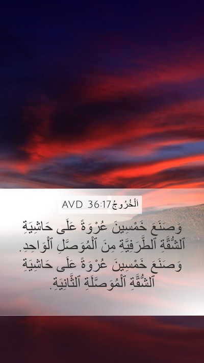 اَلْخُرُوجُ 36:17 AVD Bible Verse Image