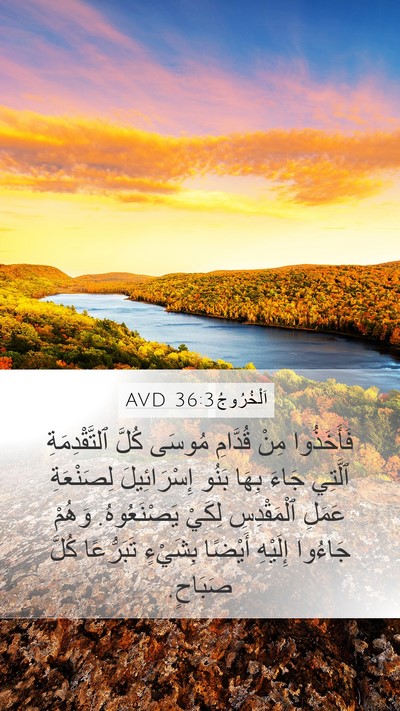 اَلْخُرُوجُ 36:3 AVD Bible Verse Image