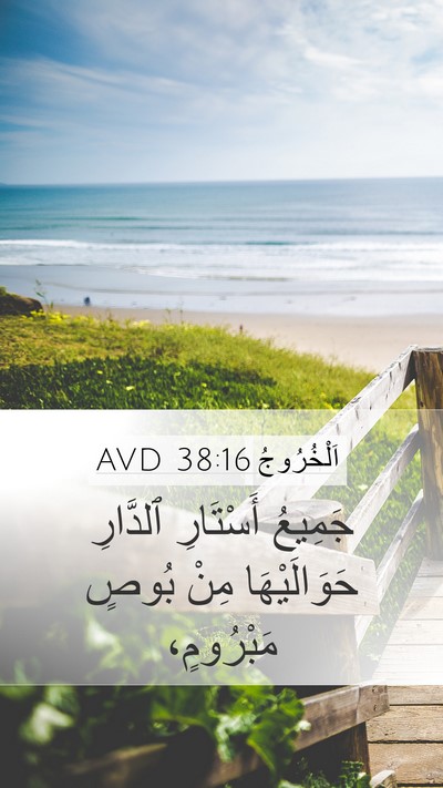 اَلْخُرُوجُ 38:16 AVD Mobile Phone Wallpaper - جَمِيعُ أَسْتَارِ - Mobile Bible Verse Wallpaper