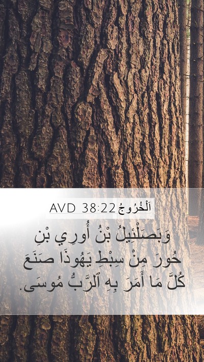 اَلْخُرُوجُ 38:22 AVD Bible Verse Image