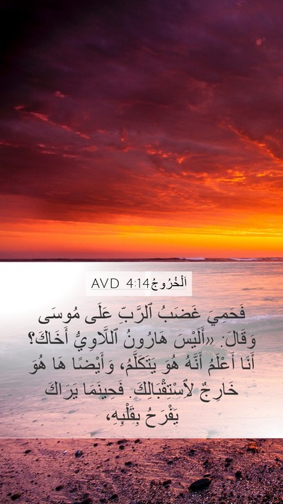 اَلْخُرُوجُ 4:14 AVD Bible Verse Image