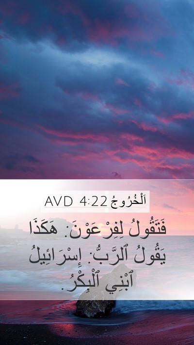 اَلْخُرُوجُ 4:22 AVD Bible Verse Image