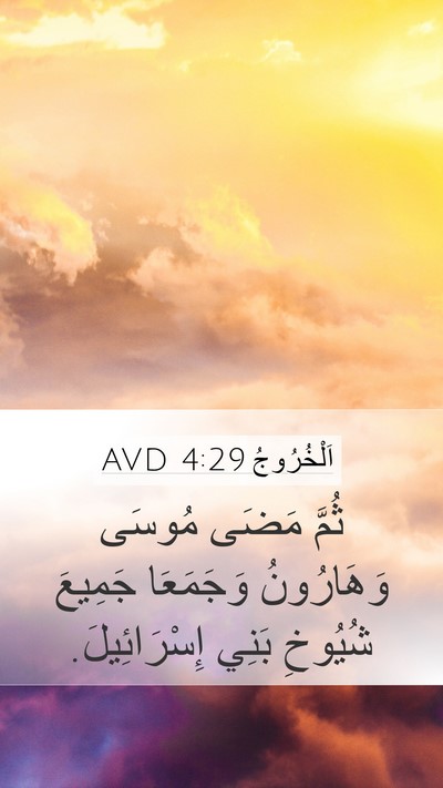 اَلْخُرُوجُ 4:29 AVD Bible Verse Image