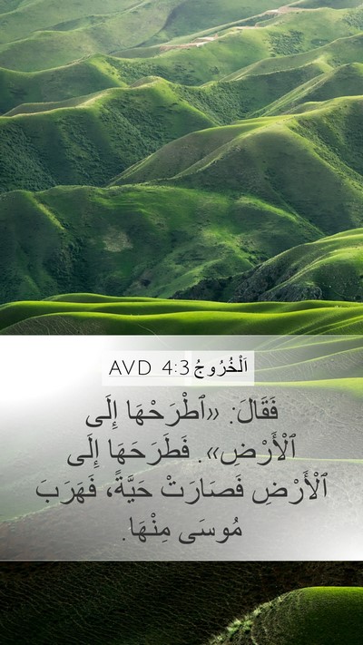 اَلْخُرُوجُ 4:3 AVD Mobile Phone Wallpaper - فَقَالَ: «ٱطْرَحْهَا إِلَى - Mobile Bible Verse Wallpaper