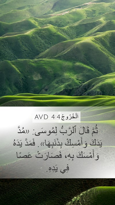 اَلْخُرُوجُ 4:4 AVD Mobile Phone Wallpaper - ثُمَّ قَالَ ٱلرَّبُّ - Mobile Bible Verse Wallpaper