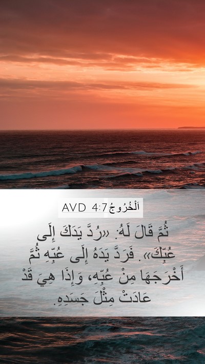 اَلْخُرُوجُ 4:7 AVD Mobile Phone Wallpaper - ثُمَّ قَالَ لَهُ: «رُدَّ - Mobile Bible Verse Wallpaper