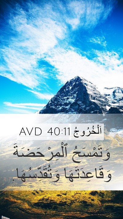اَلْخُرُوجُ 40:11 AVD Mobile Phone Wallpaper - وَتَمْسَحُ ٱلْمِرْحَضَةَ - Mobile Bible Verse Wallpaper