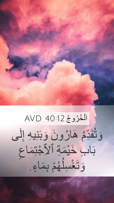 اَلْخُرُوجُ 40:12 AVD Bible Verse Image