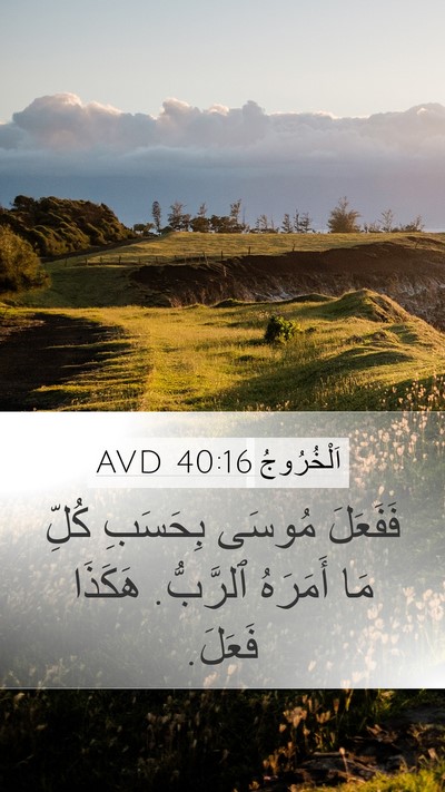 اَلْخُرُوجُ 40:16 AVD Bible Verse Image