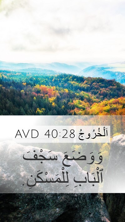 اَلْخُرُوجُ 40:28 AVD Bible Verse Image