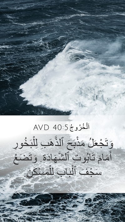 اَلْخُرُوجُ 40:5 AVD Bible Verse Image